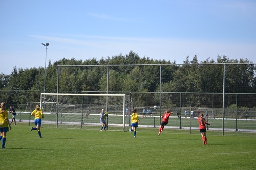 123548.JPG