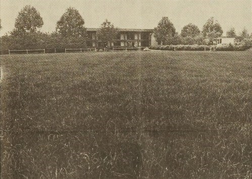1981_roda_hoofdveld_499x355.jpg