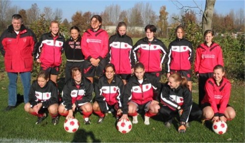 2003-2004 da2_499x293.jpg