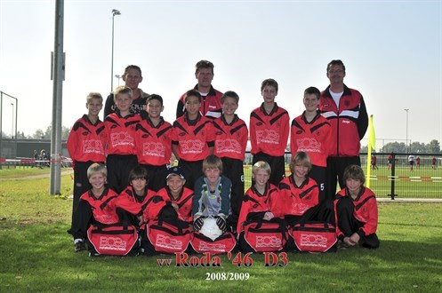 2008-2009%20d3_497x330.jpg