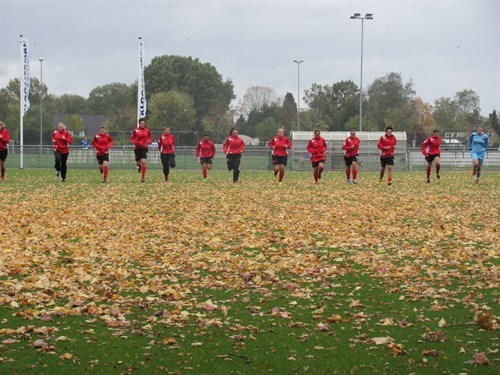 2013-2014_dms2_500x375.jpg